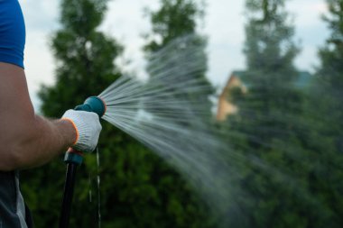 Bahçıvanlık ve bakım. Çimleri sulayan hortumla insan ellerine yakın durun.