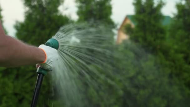 Jardinería y mantenimiento: primer plano de las manos del hombre con manguera que riega el césped — Vídeos de Stock