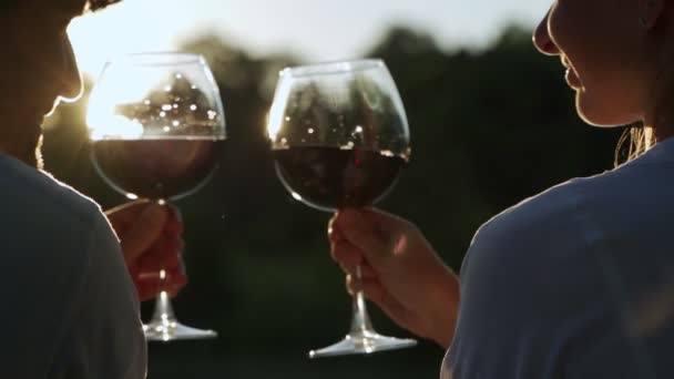 Paar toasten wijnglazen in romantische date setting. — Stockvideo