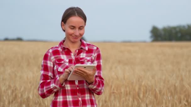 Kobieta-technolog agronomista z tabletem przesyła dane do chmury. Inteligentne rolnictwo i rolnictwo cyfrowe. — Wideo stockowe