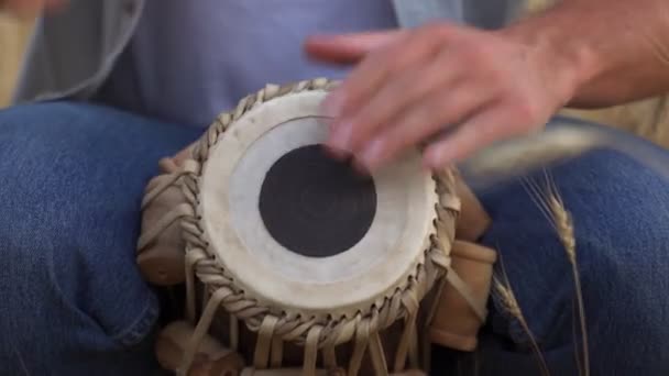 Close-up of a man playing a drum sitting in a wheat field — Video