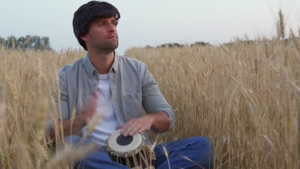 Schöner Mann im grauen Hemd sitzt in einem Weizenfeld und trommelt — Stockvideo