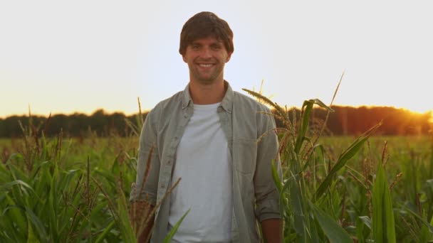 Mısır tarlasında dikilip kameraya bakıp gülümseyen bir çiftçinin portresi. — Stok video