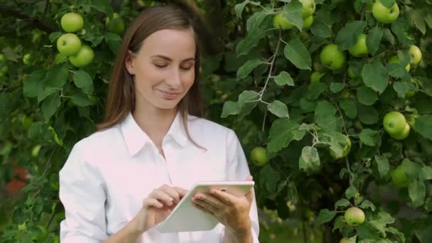 Jovem mulher em uma camisa branca com um tablet verifica o crescimento de maçãs em árvores verdes no jardim — Vídeo de Stock