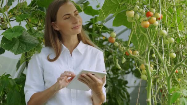 Woman farmer in a white shirt with a digital tablet in the greenhouse monitors the growth of tomatoes. Smart organic farm. — Stock videók