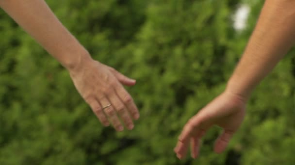 Primo piano di due mani che si toccano e si stringono delicatamente. carino concetto del rapporto tra un uomo e una donna sullo sfondo di un giardino verde — Video Stock