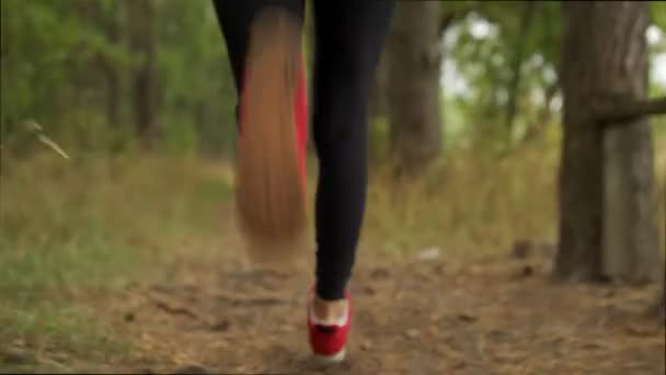 Rear view of a fit female athlete jogging through the forest — Stock Video