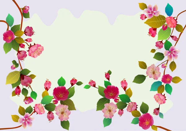 Sakura, Frühling, Postkarte . — Stockvektor