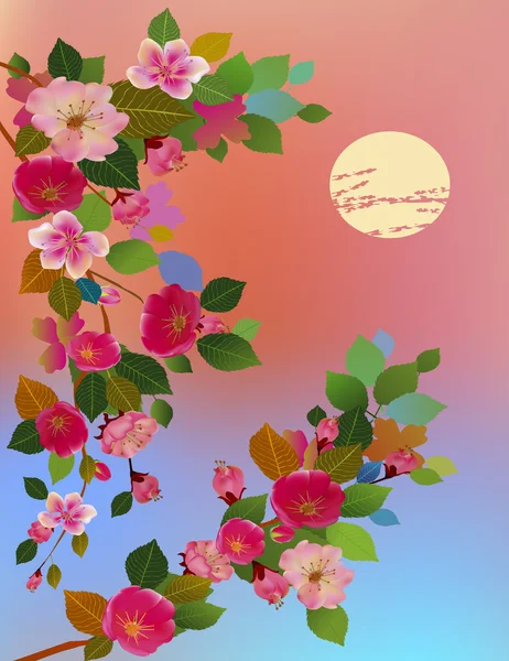 Večer v zahradě kvetoucí třešeň — Stockový vektor