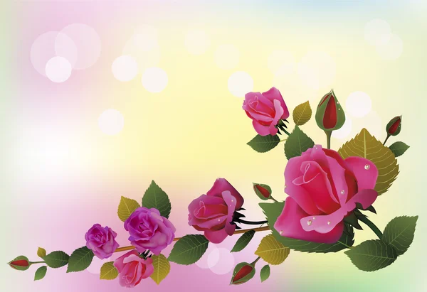 Çiçekler, kartpostal. Sevgililer günü — Stok Vektör