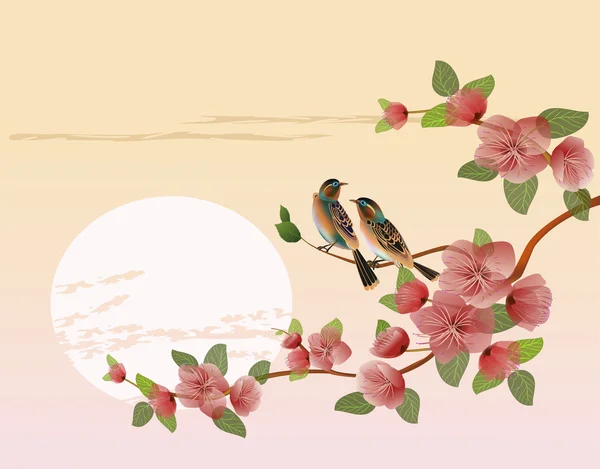 Sakura. çay ceremony.menu