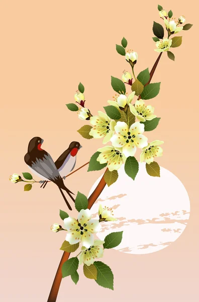 Sakura. Ceremonia del té. — Vector de stock