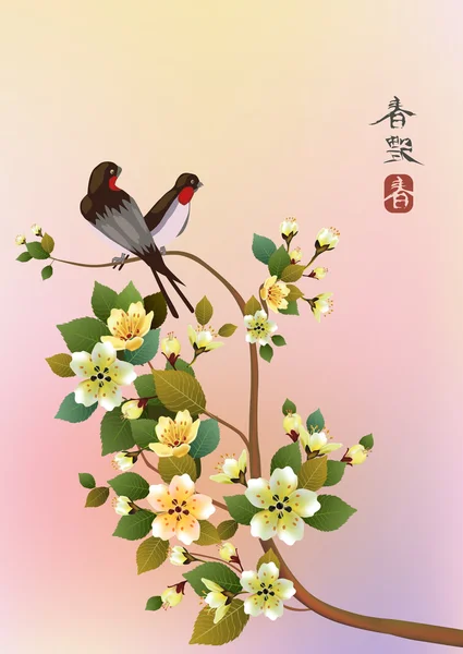 Sakura. Ceremonia del té. — Vector de stock