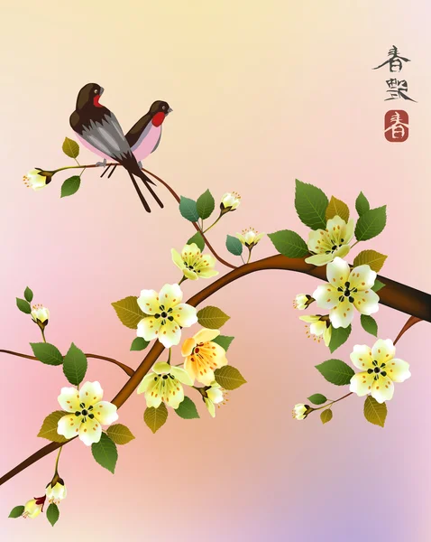 Sakura. čaj ceremony.menu — Stockový vektor