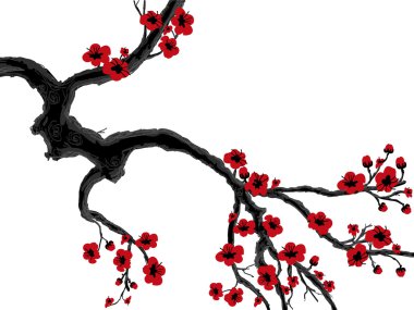 Sakura, Bahar, Sevgililer günü.