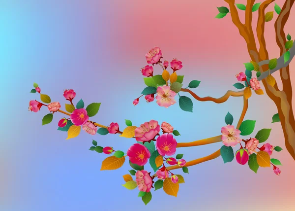 Sakura, Bahar, Sevgililer günü. — Stok Vektör