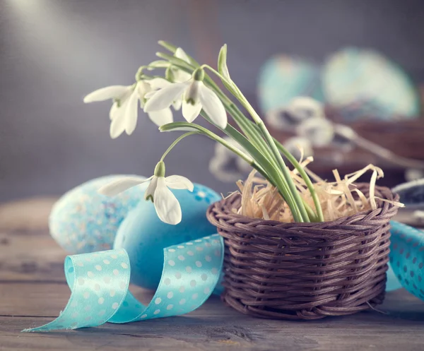 Blue eggs and spring snowdrop flowers — Stock Photo, Image