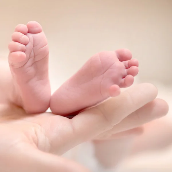 Baby's feet — Stock Photo, Image