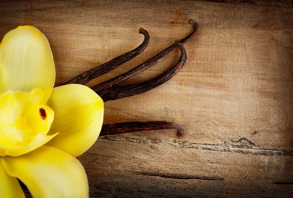 Vanília hüvely és virág — Stock Fotó