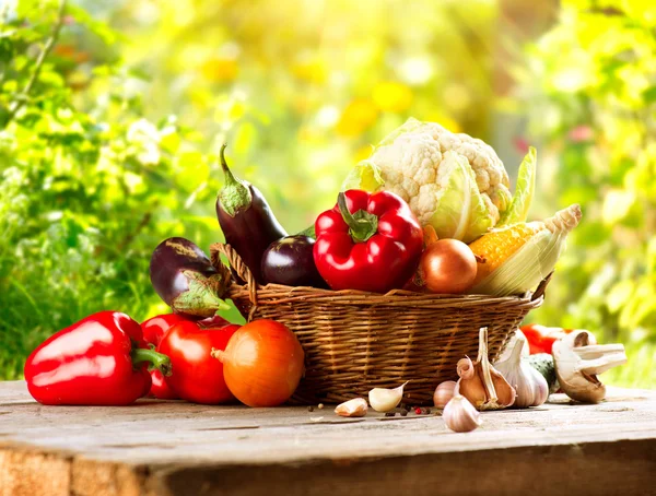 Bio Verduras en una Canasta — Foto de Stock