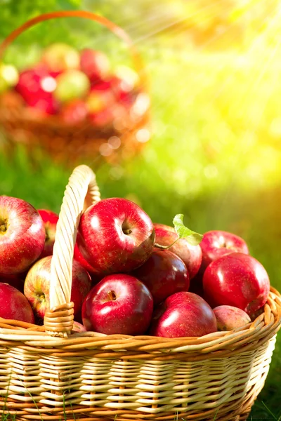 Appels in een mand buiten. — Stockfoto