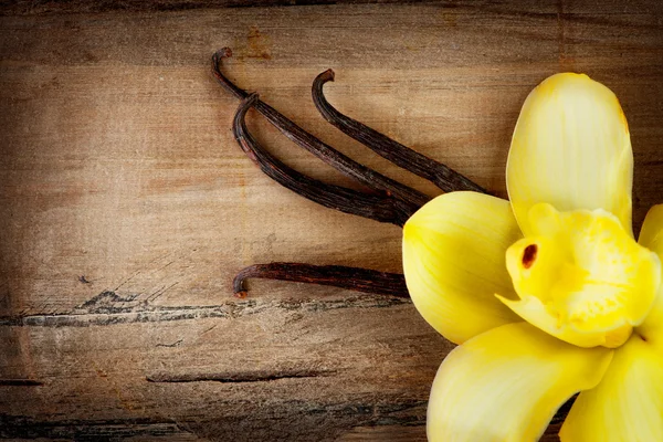 Filtros de baunilha e flor — Fotografia de Stock