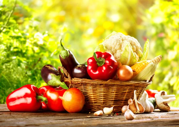 Bio groenten in een mand — Stockfoto