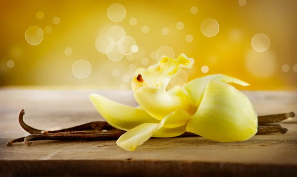 Vanilla Pod Sticks and Flower — Stock Photo, Image