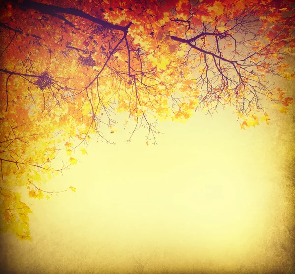 Abstract autumnal background