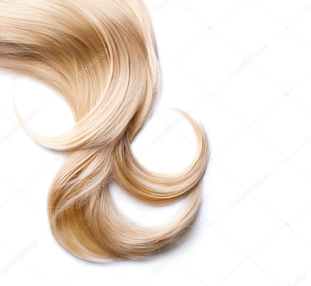Lock Of Hair And A Haircut Scissor In A White Background Stock Photo   Download Image Now  iStock