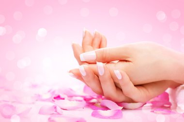 Manicured female hands clipart