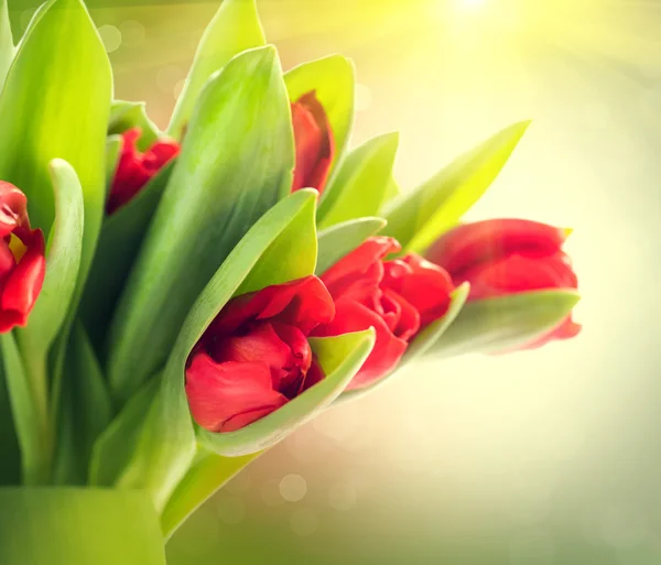 美丽的红色郁金香花束 — 图库照片