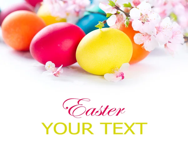 Colorful Easter eggs with  flowers — Stock Photo, Image