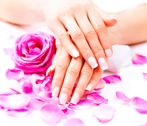 Belle mani femminili con petali — Foto Stock