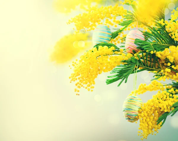 Mimosa flowers decorated with eggs — Stock Photo, Image