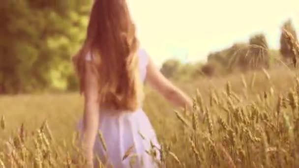 Девушка развлекается на пшеничном поле — стоковое видео