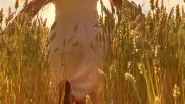 Niña corriendo en el campo de trigo amarillo . — Vídeos de Stock