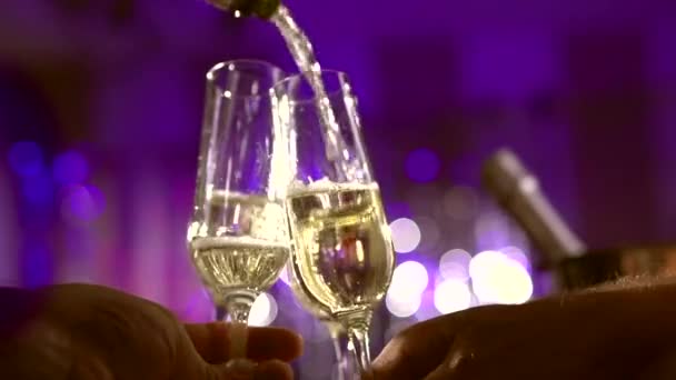 Glasses with Sparkling Champagne — Stock Video