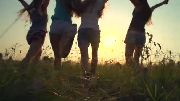 Gruppe fröhlicher Teenager-Freunde, die Spaß im Freien haben, laufen und springen — Stockvideo