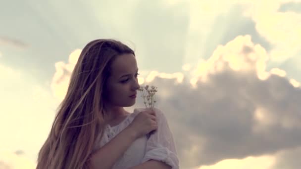 Menina romântica beleza no campo de verão — Vídeo de Stock