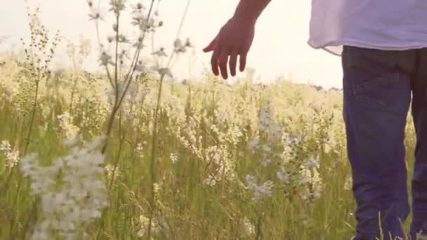 Feliz pareja divirtiéndose al aire libre — Vídeos de Stock