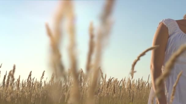 Chica disfrutando de la naturaleza — Vídeo de stock