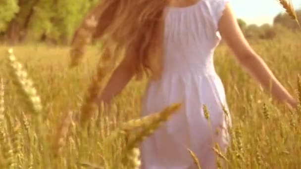 Девушка развлекается на пшеничном поле — стоковое видео