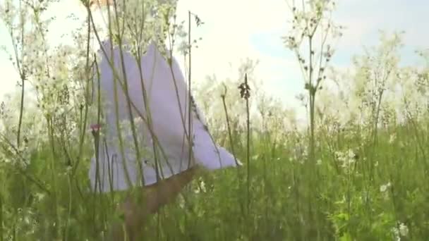 束野生花的女孩 — 图库视频影像