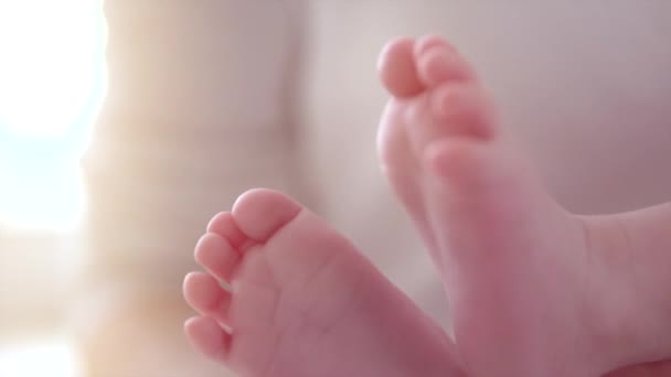 Pieds de bébé dans les mains de la mère. — Video