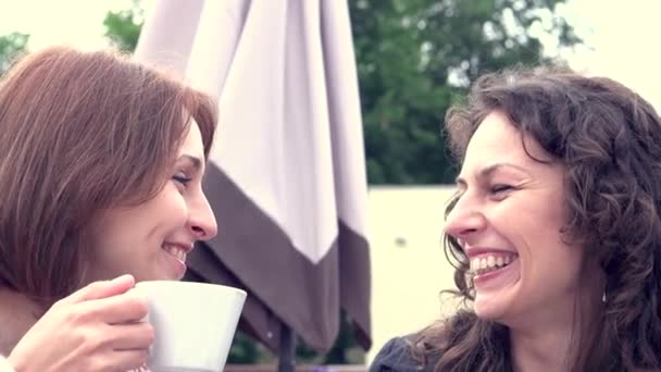 Женщины пьют кофе в кафе — стоковое видео