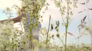 Güzellik kız grup kır çiçekleri ile