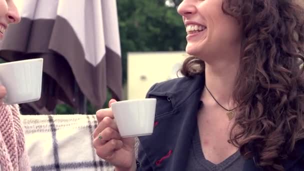 Hermosas mujeres tomando café en la cafetería — Vídeos de Stock