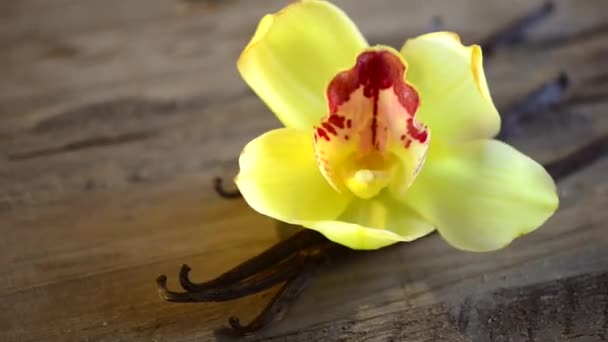 gousses de vanille et fleur