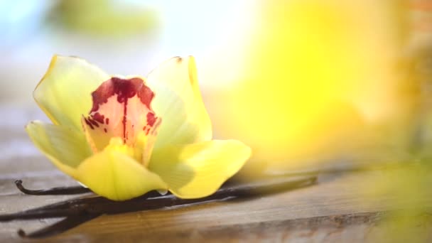 Cialde e fiori alla vaniglia — Video Stock